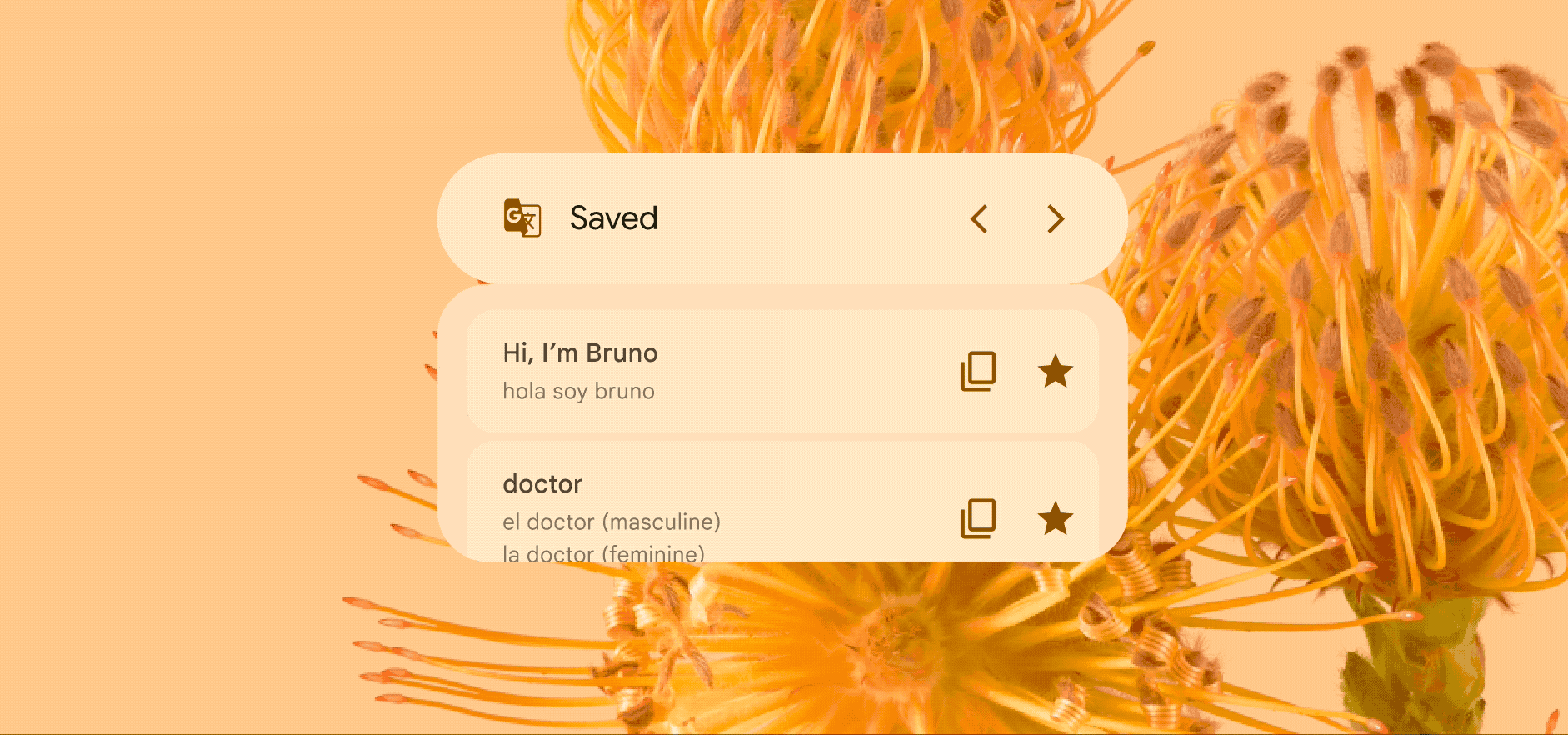 Light orange Android wallpaper of a flower stamen. In the foreground a user scrolls through the Google translate widget, with selected saved translations to use.