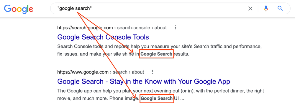 Picture of Google search results for ["google search"] showing two listings and how the words "google search" are bolded in the snippets for each listing.